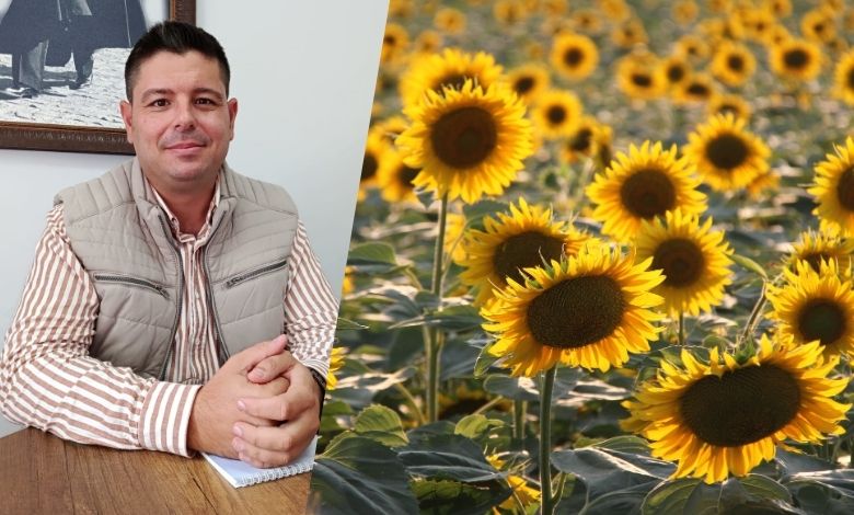 Ilgın’dan ayçiçeğinde ‘gelir sigortası’ önerisi