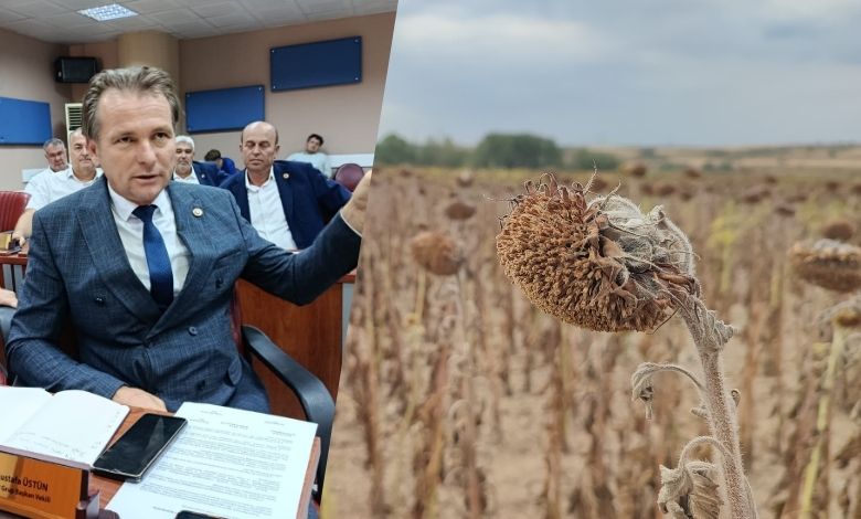 Çiftçiye hasatta 'ithalat' darbesi
