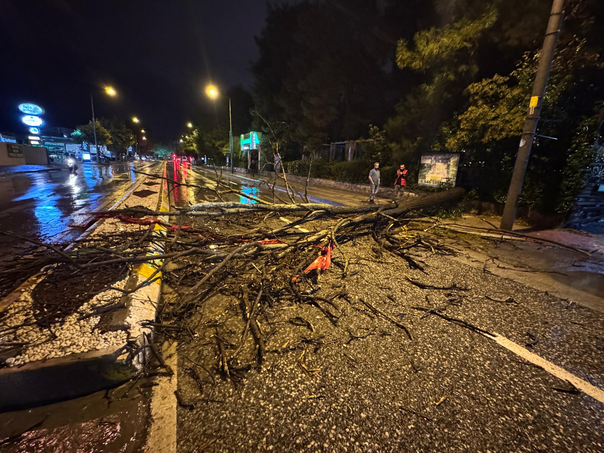 Atatürk Bulvarı'na ağaç devrildi