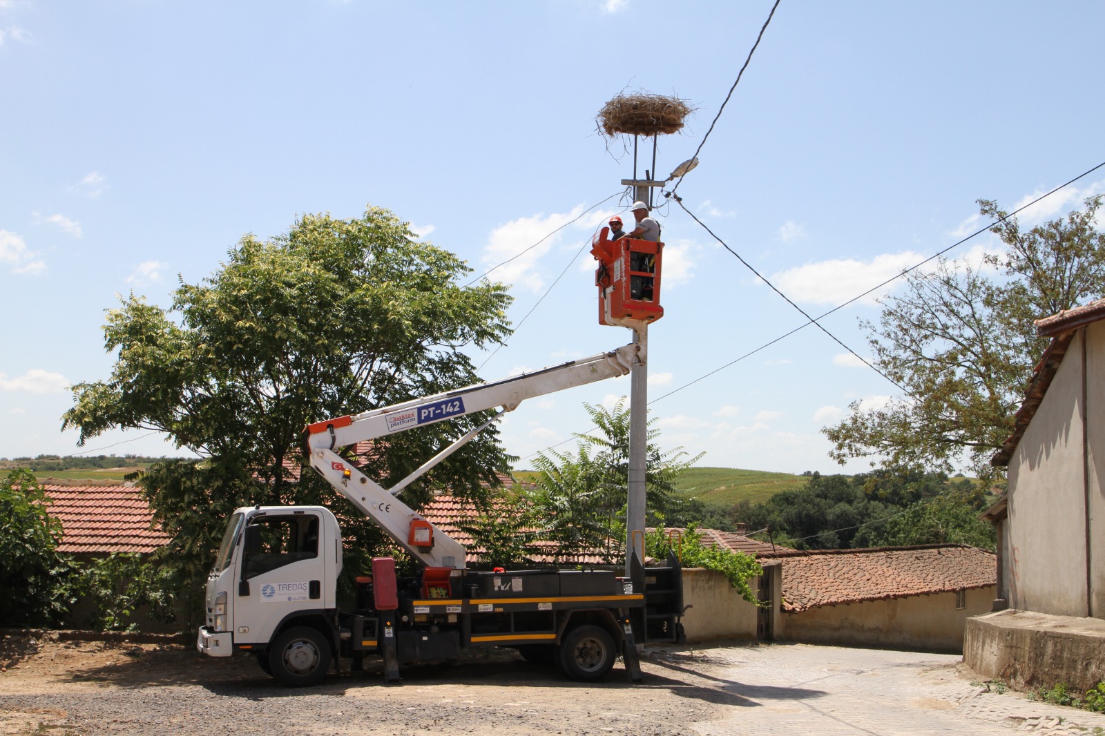 Leyleklerin yuvaları hazırlanıyor
