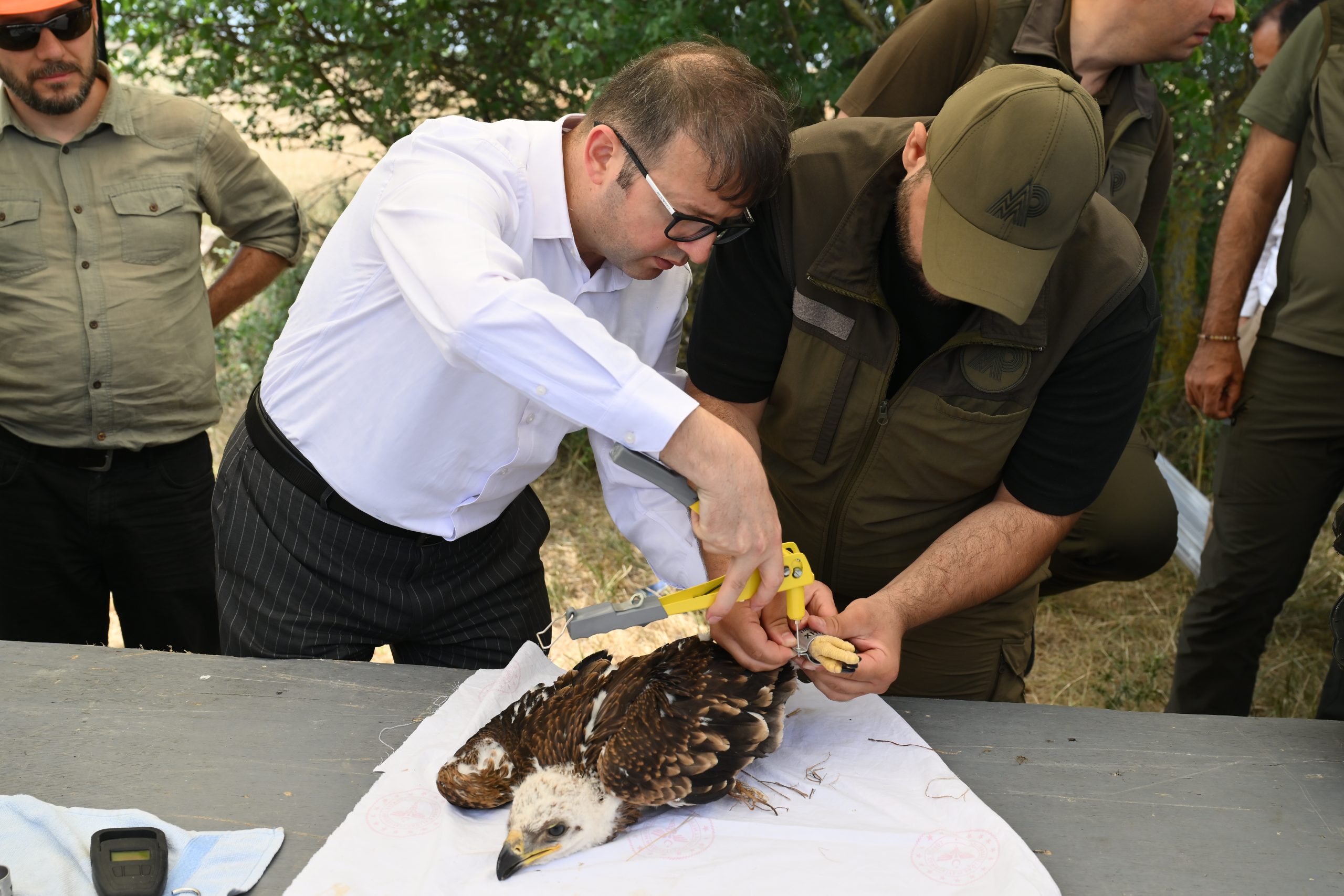 TREDAŞ, hayvan dostu projelerine devam ediyor