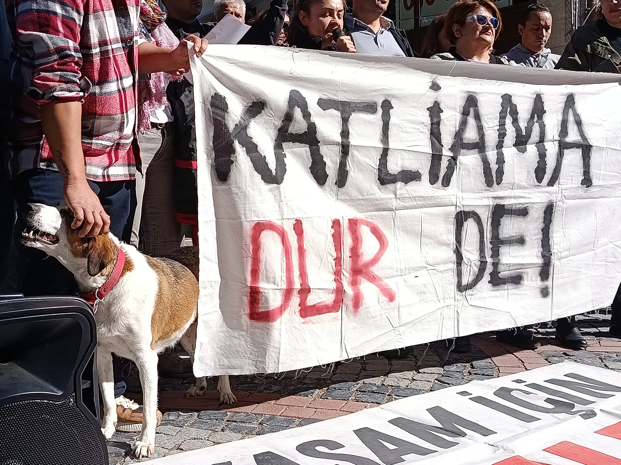 'Edirne'de bir yılda 5 bin 200 köpek öldü'