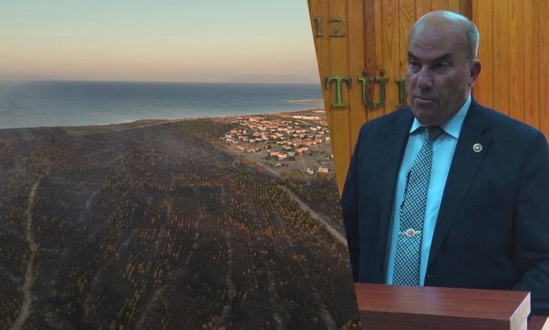 Enez’deki yangın alanı yeniden yeşerecek