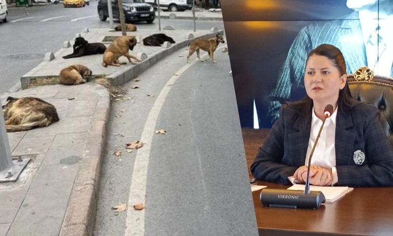 Doğal Yaşam Alanı'nda geri sayım