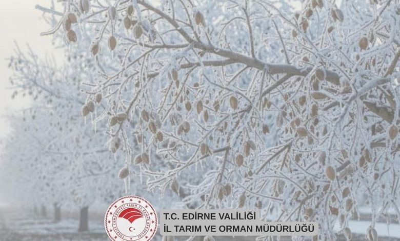 Edirne'de 35 milyonluk zirai don destek ödemesi