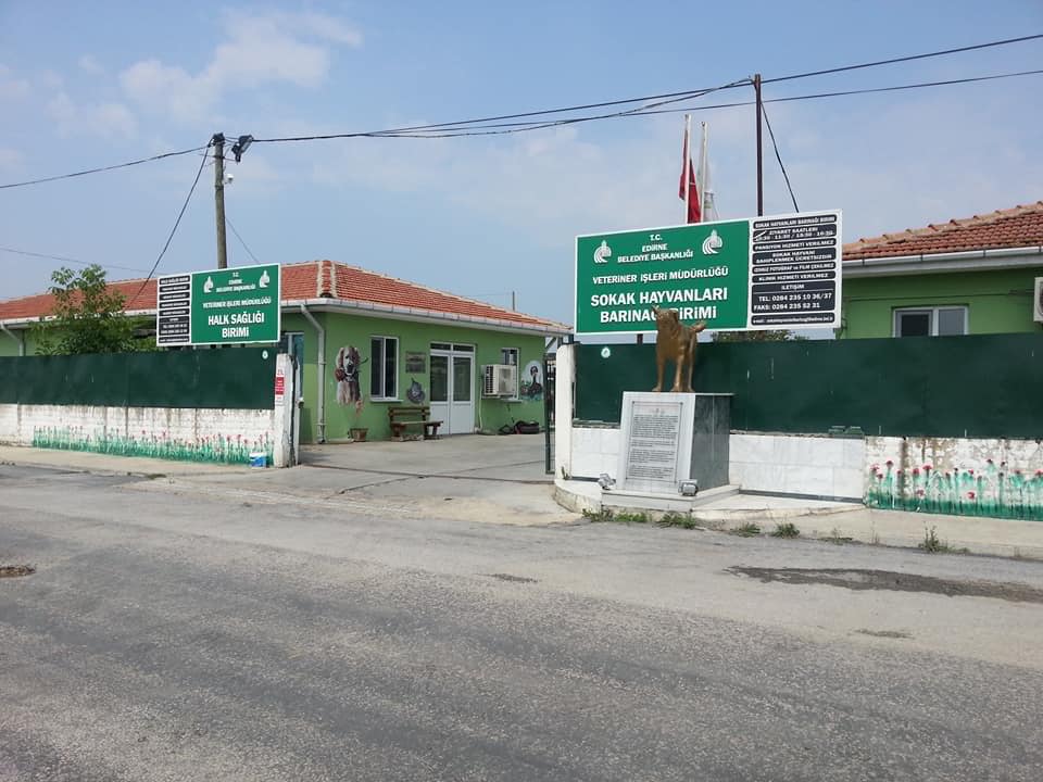 Belediyeden hayvana zulme soruşturma