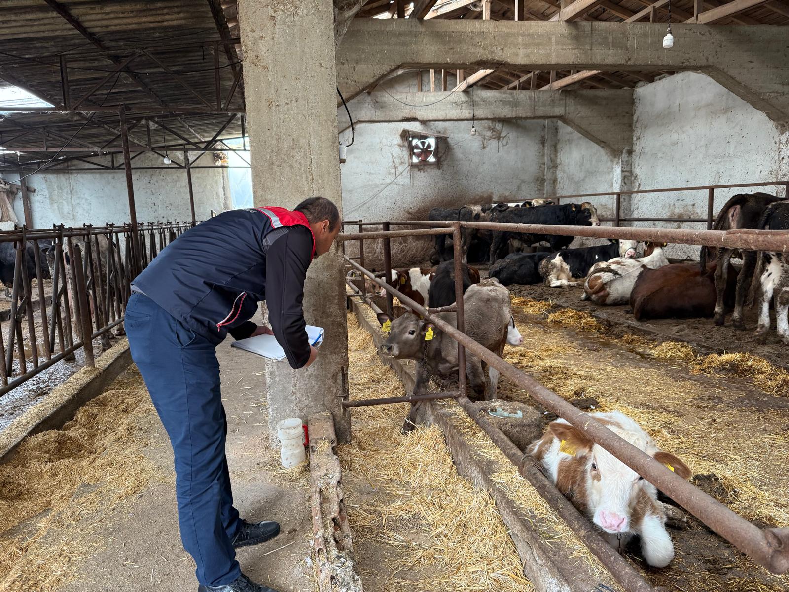 Edirne’de 2025 yılı hayvancılık denetimleri tamamlandı
