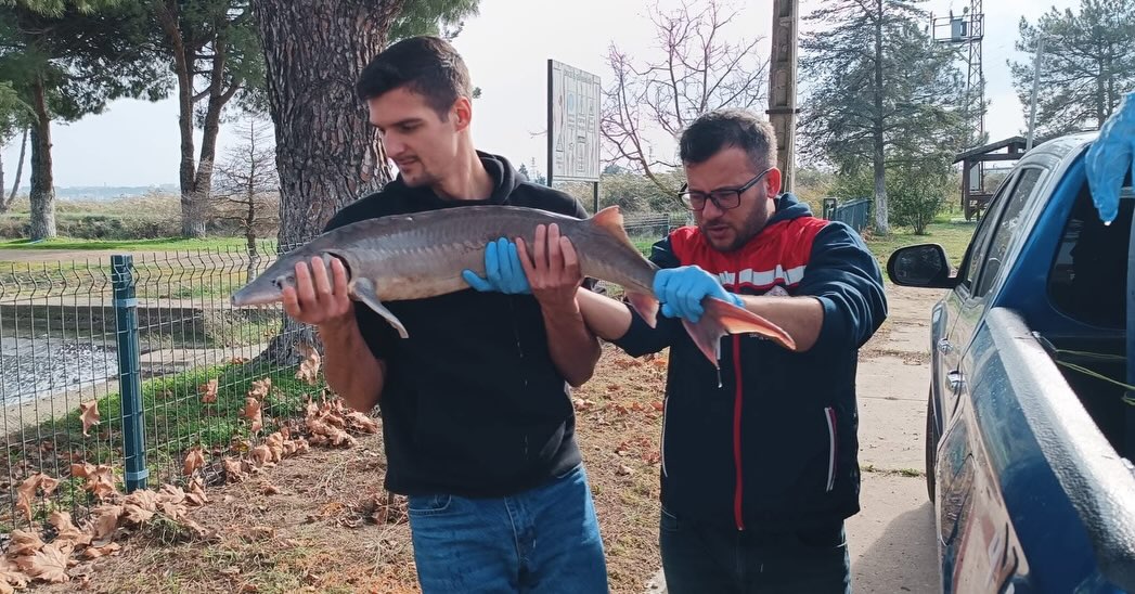 Dünya Balıkçılık Günü'nde örnek davranış
