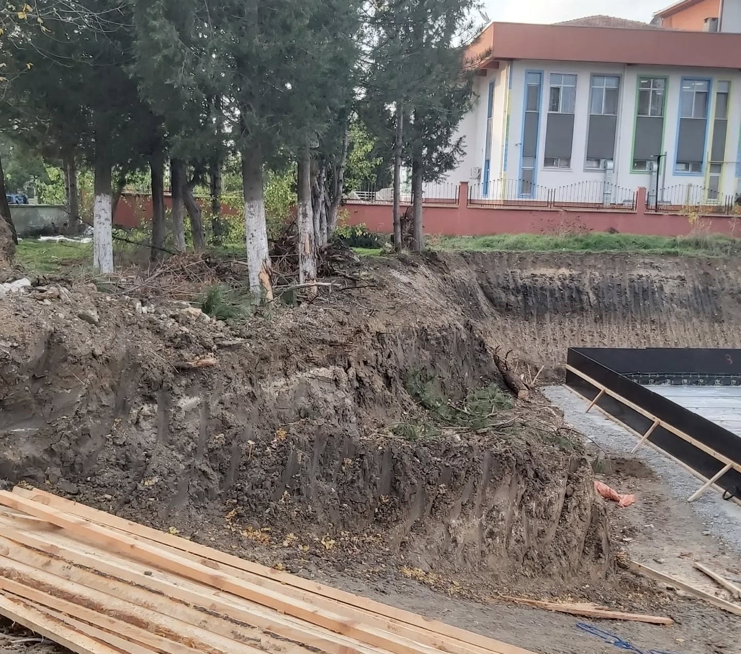 TEMA'dan çeyrek asırlık ağaçlar için başvuru