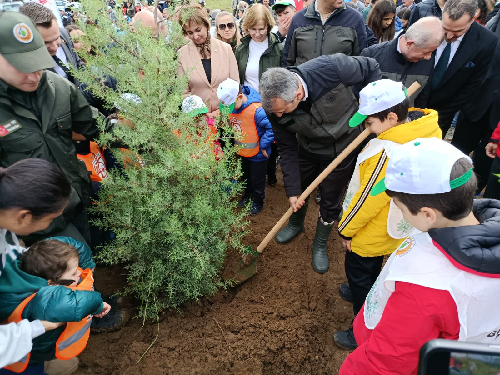 Yanan ormanlık alanlara 1 milyon fidan hedefi