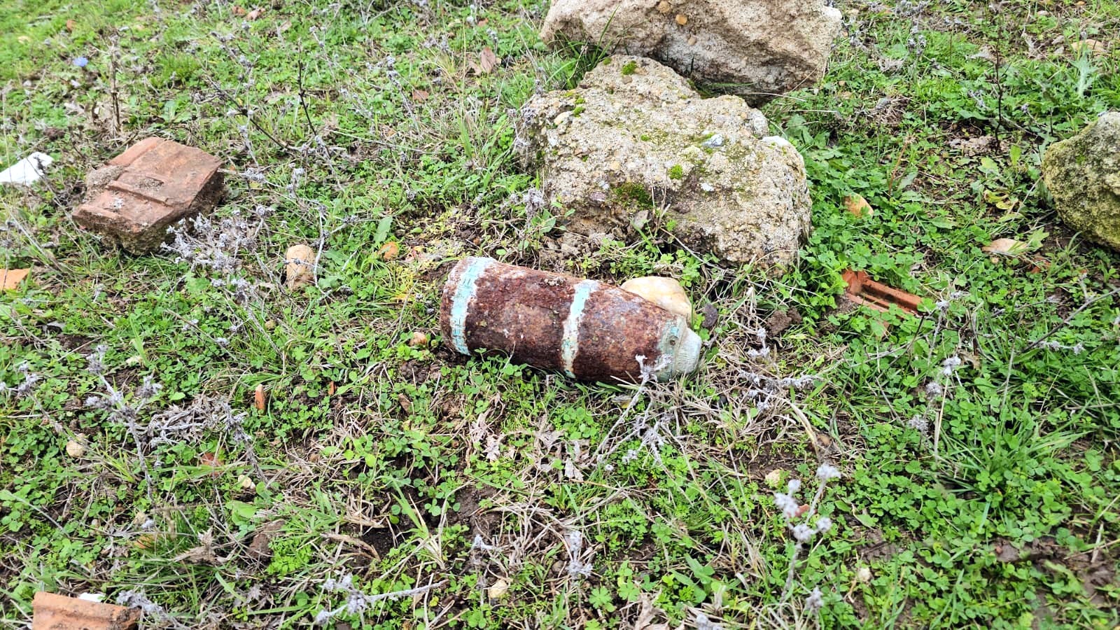 Mantar avında top mermisi!