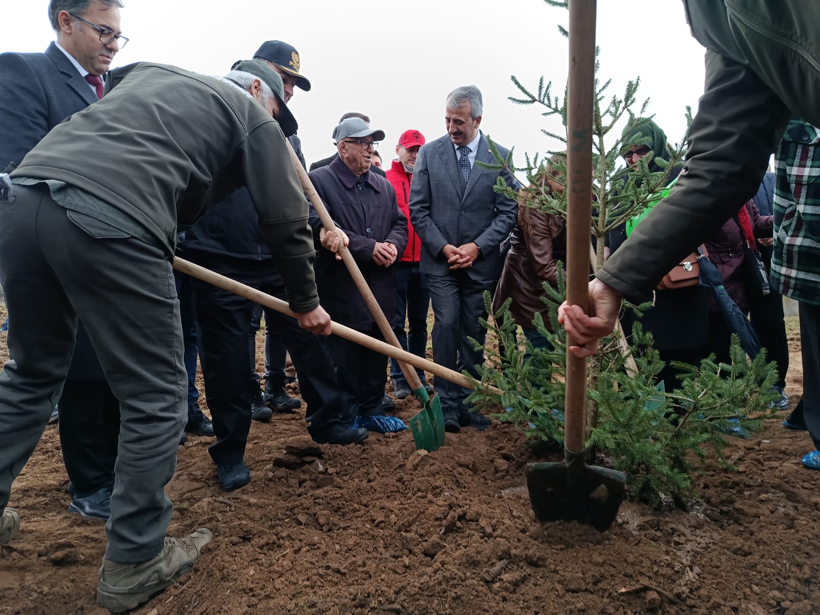 Şehit polisler anısına 500 fidan