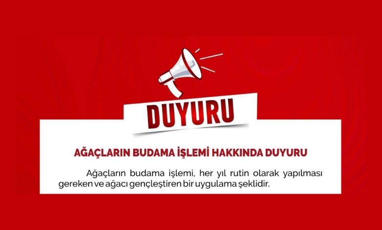 Belediyeden kapsamlı ağaç budama çalışması