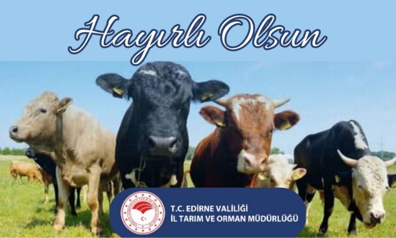 Üreticiye 31 milyonluk destek