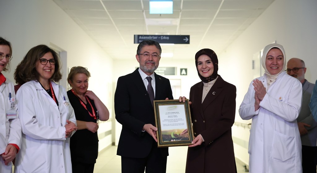 Her yeni doğan bebek ve yeni evli çift adına bir fidan dikilecek