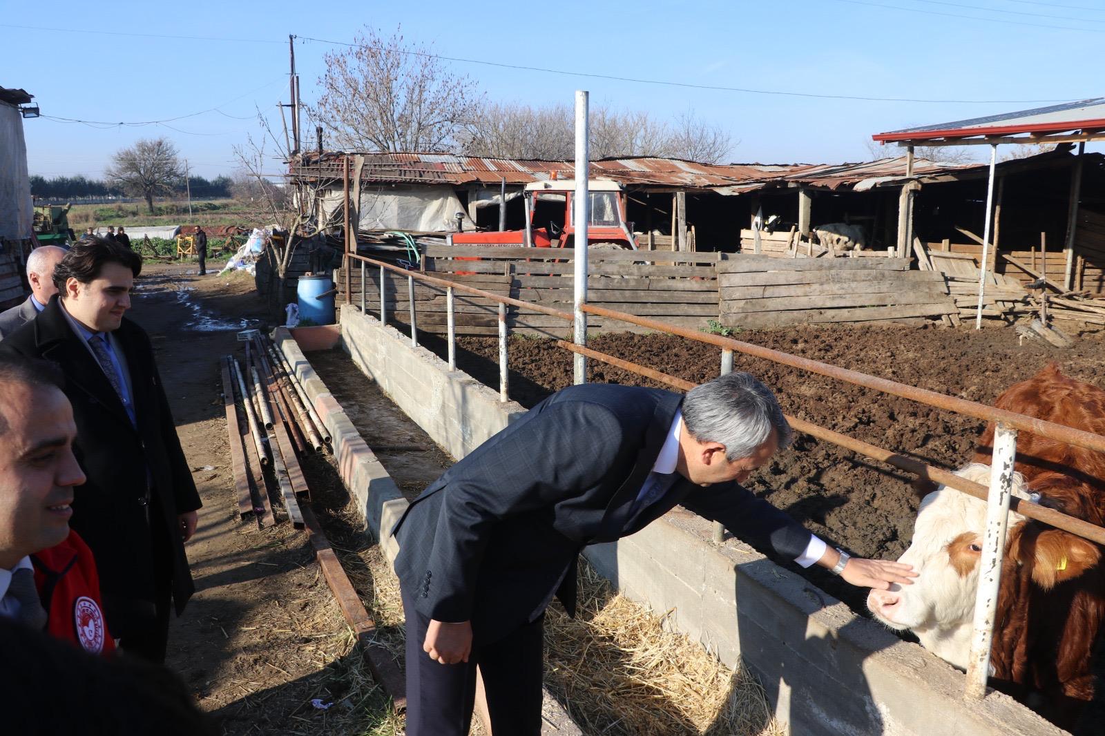Vali Sezer'den sera ve hayvancılık işletmelerine ziyaret