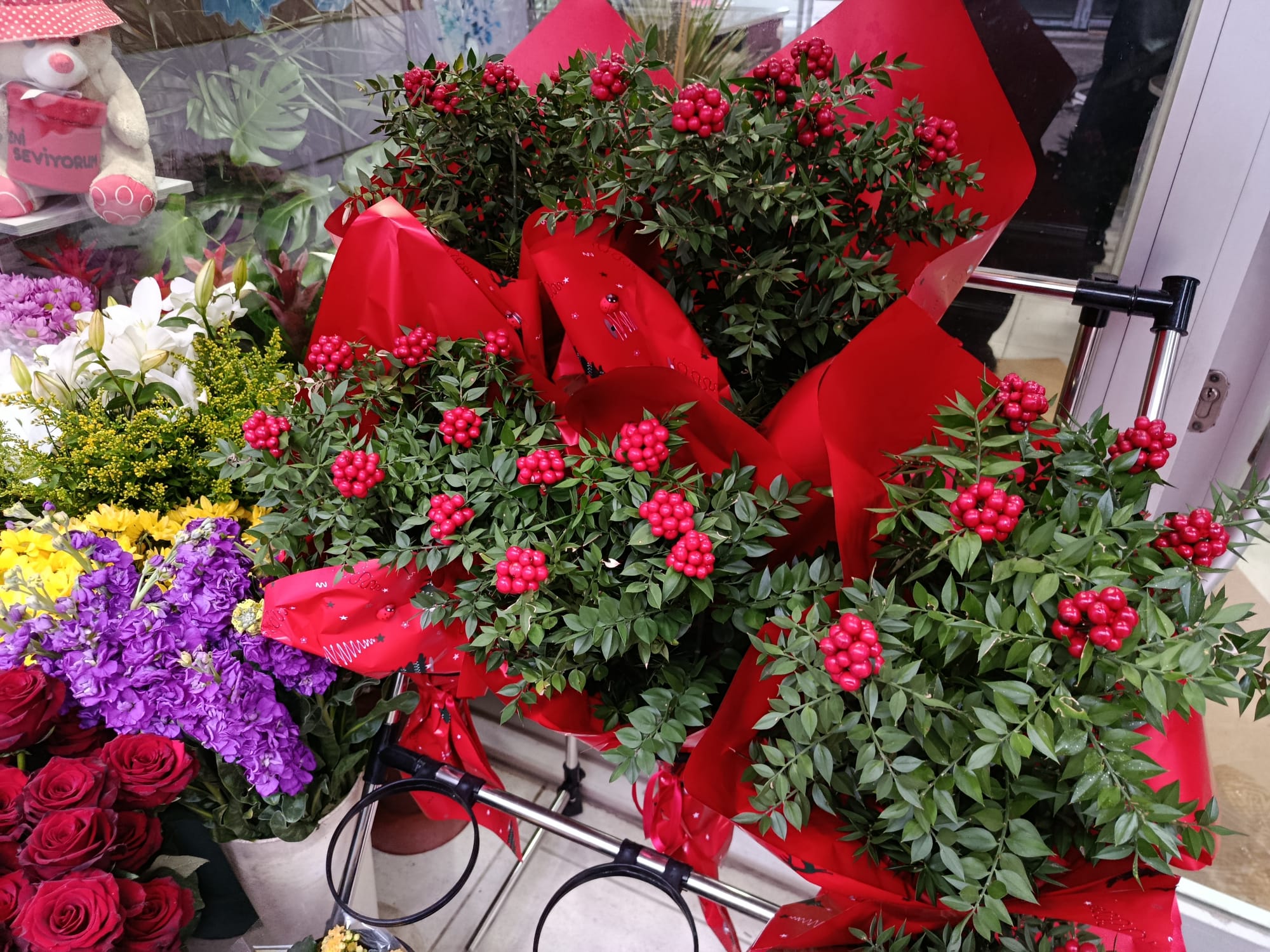 Yılbaşında en çok o çiçek soruluyor!