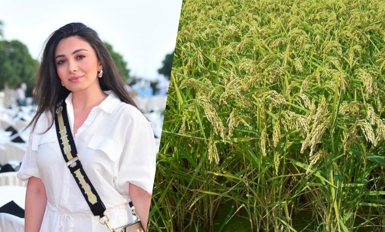 Şimşek'ten çeltik fiyatına tepki