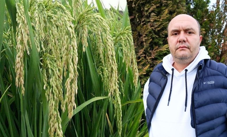 ‘Çeltikçi imkansızı başardı, ithalata takıldı’