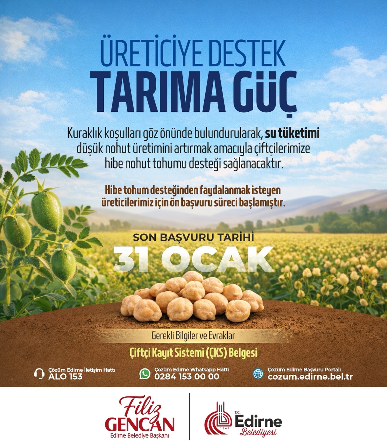 Belediye'den Çiftçilere Nohut Tohumu Desteği