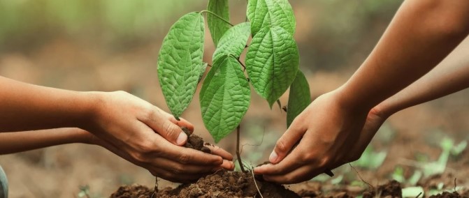 Sayısı yarım milyarı geçti!
