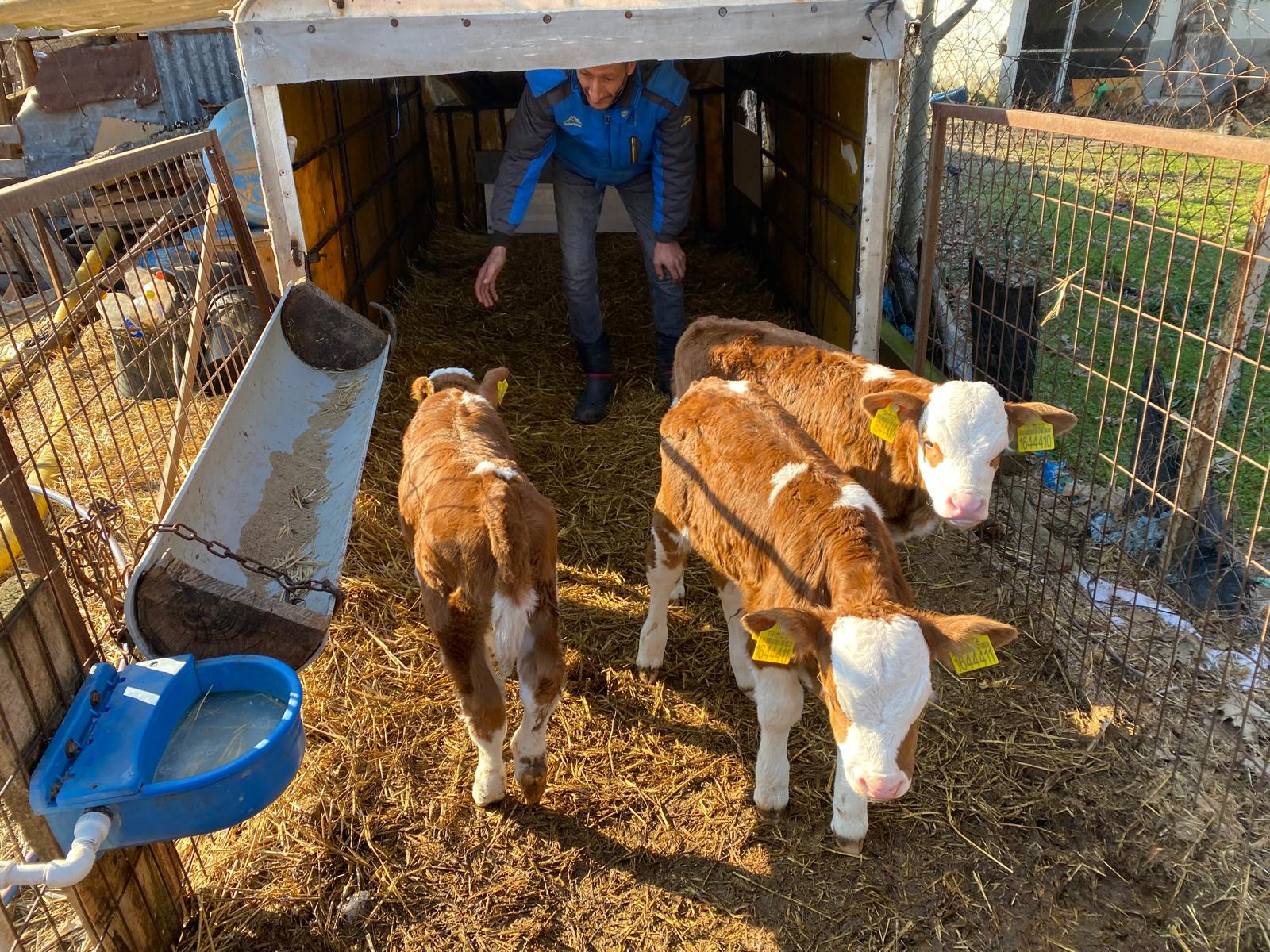 “Maşallah”lıklar müdürden!