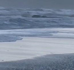 Denizdeki korkutan fırtına kameralara yansıdı!