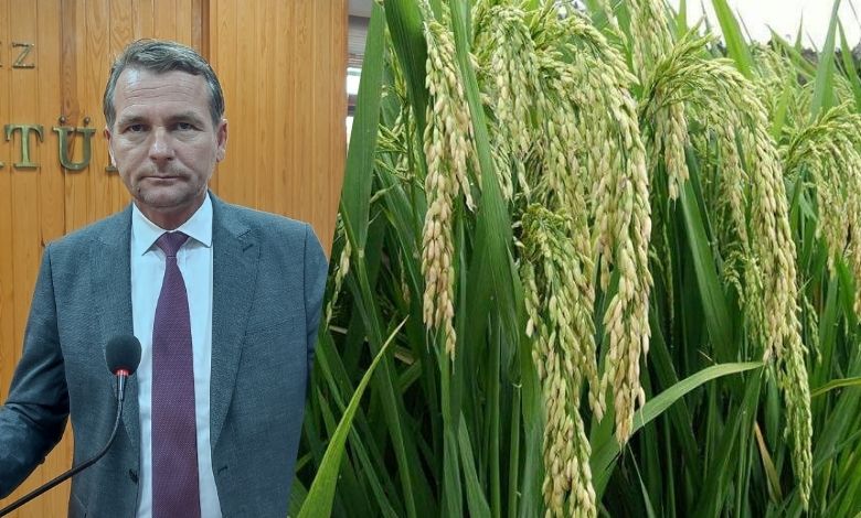 Çeltikte 'dağ fare doğurdu'