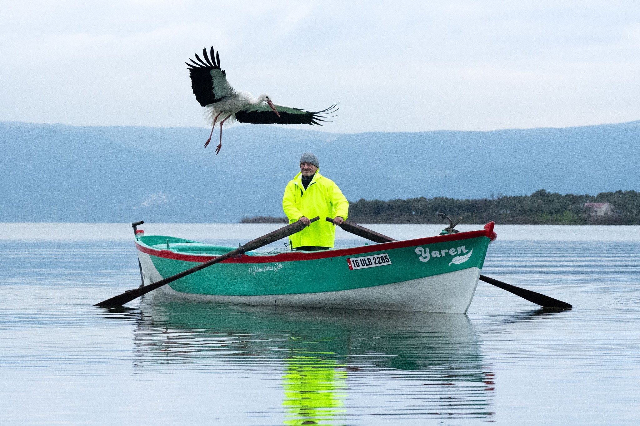 Yaren leylek 15’inci kez dostunun kayığında