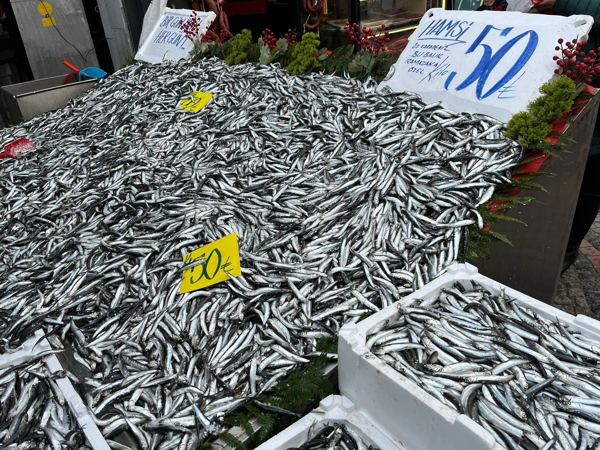 Vatandaşın tercihi: Pahalılıkta da Ucuzlukta da Hamsi
