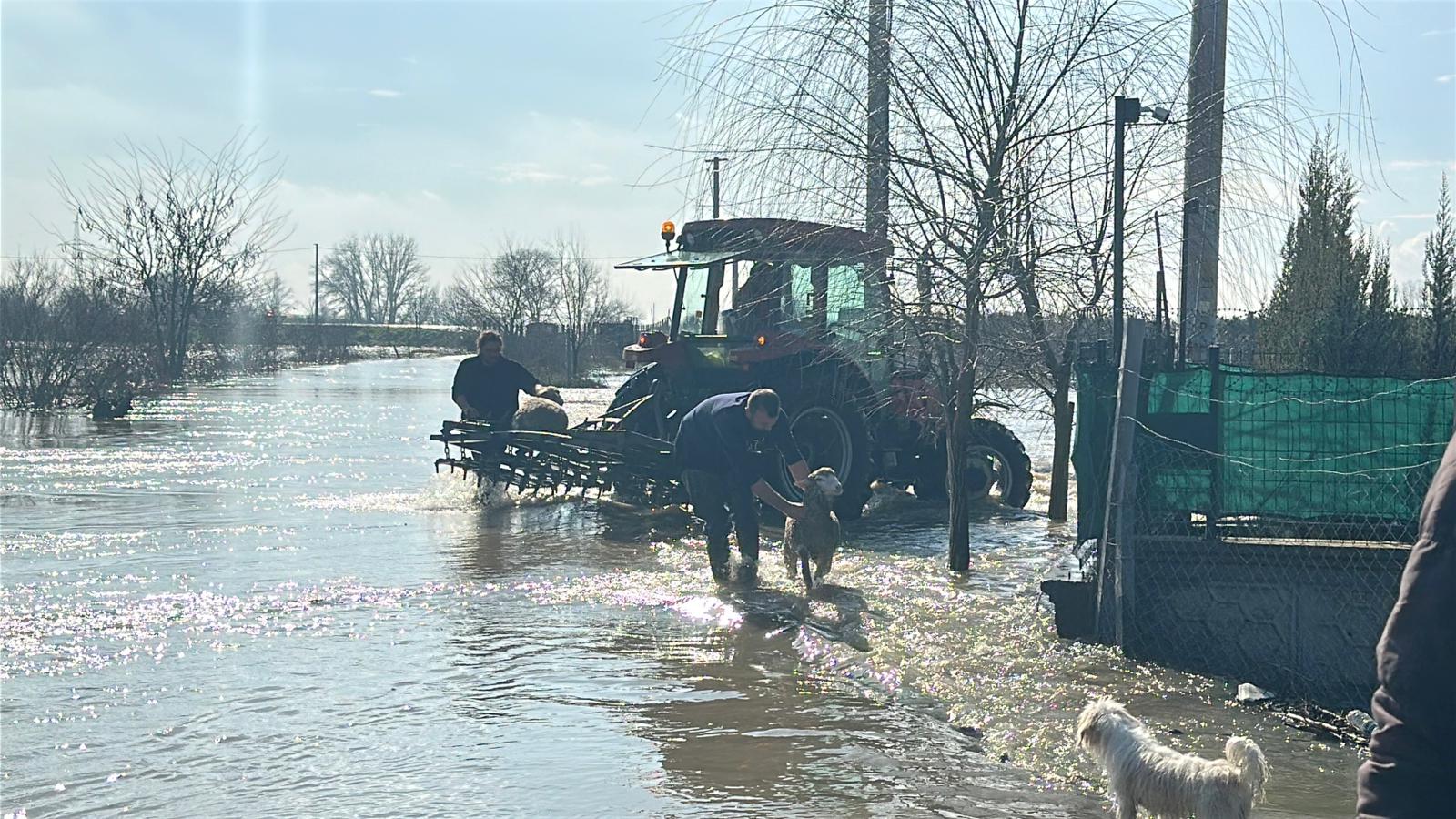 Edirne'de taşkın sahasında zamanla yarış!