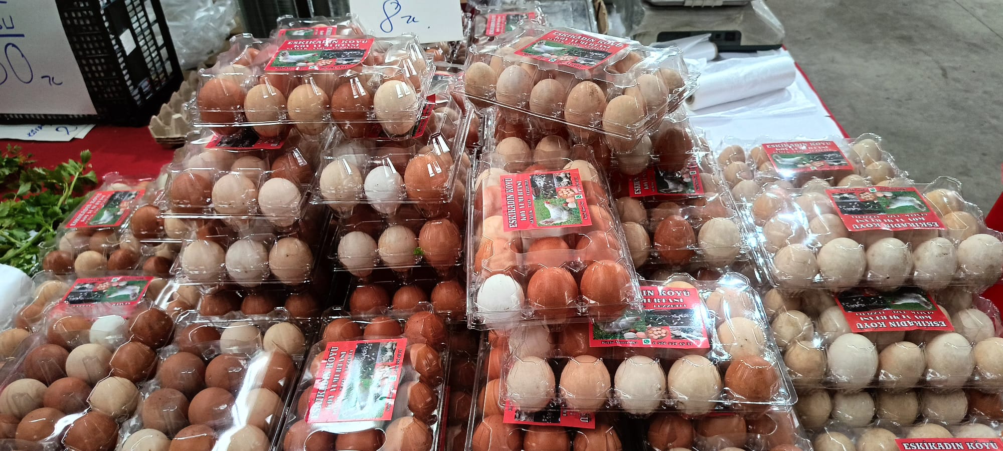 Gören Şaşkın, Alan Mutlu