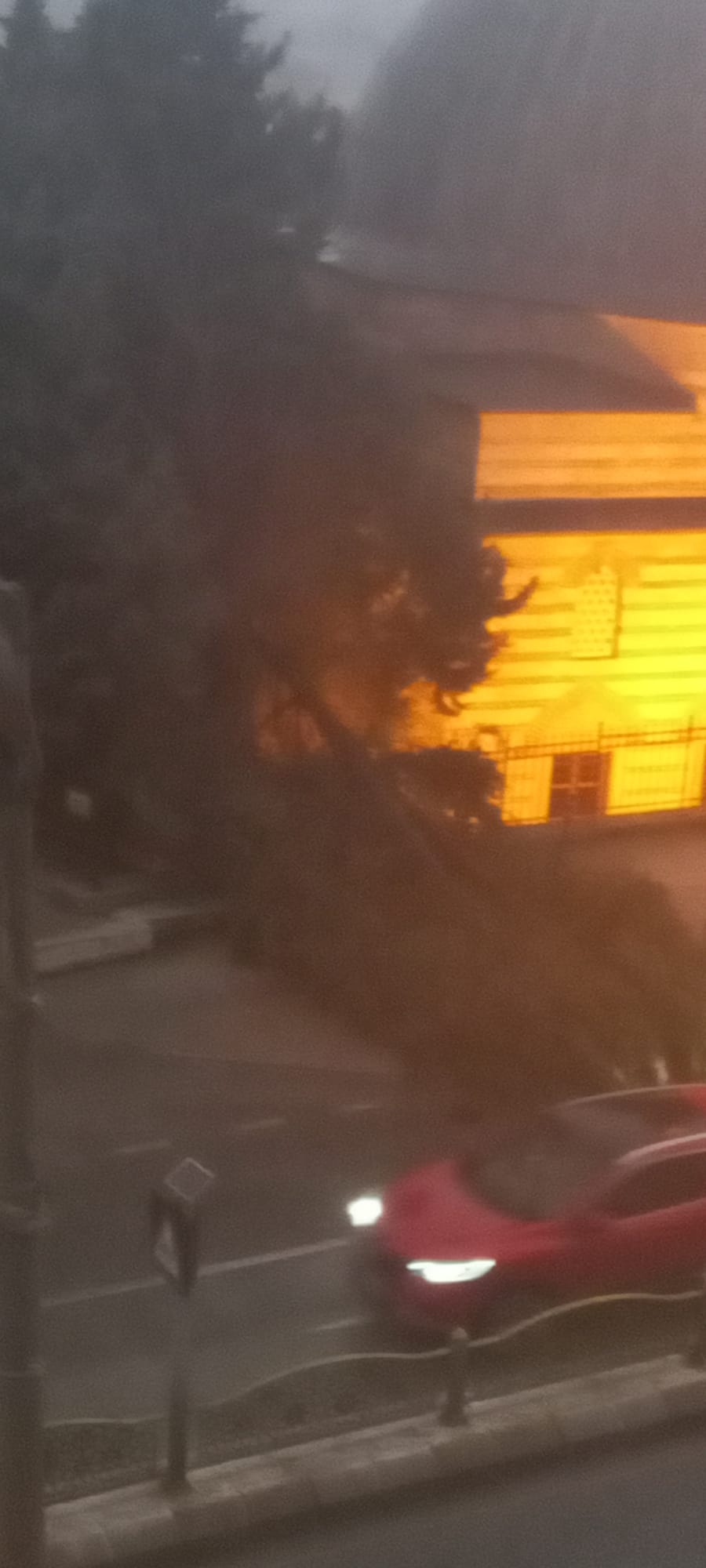 Fırtına Ağacı İkiye Böldü, Facia Kıl Payı Atlatıldı