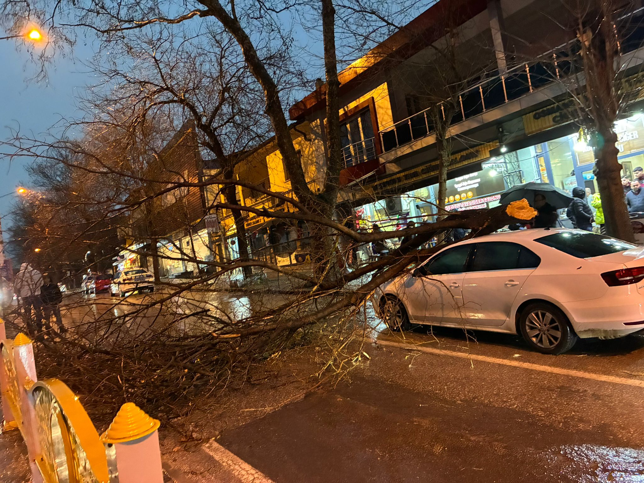 Fırtına Ağacı Aracın Üzerine Devirdi
