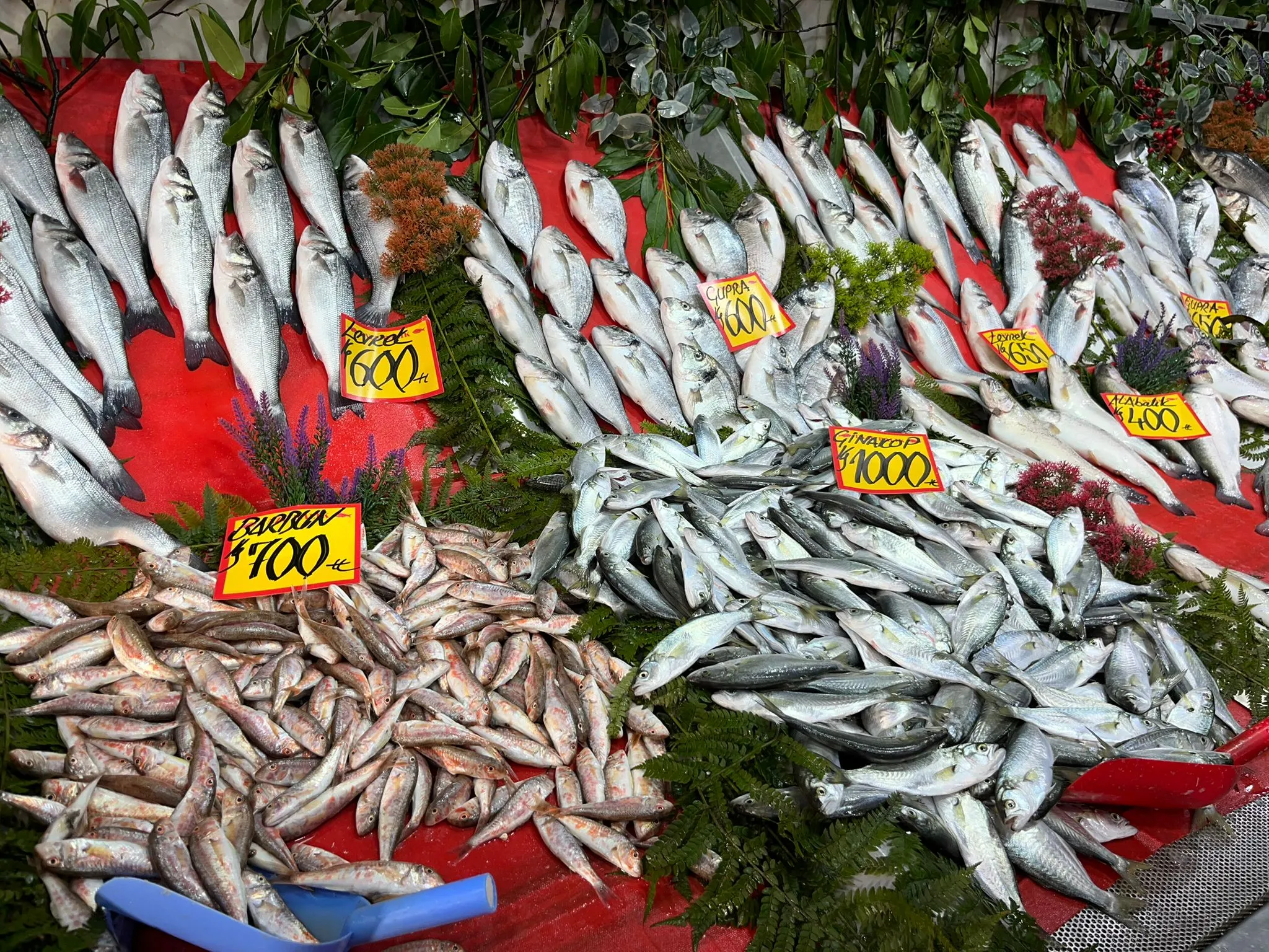 Lodos balık tezgahlarını vurdu!