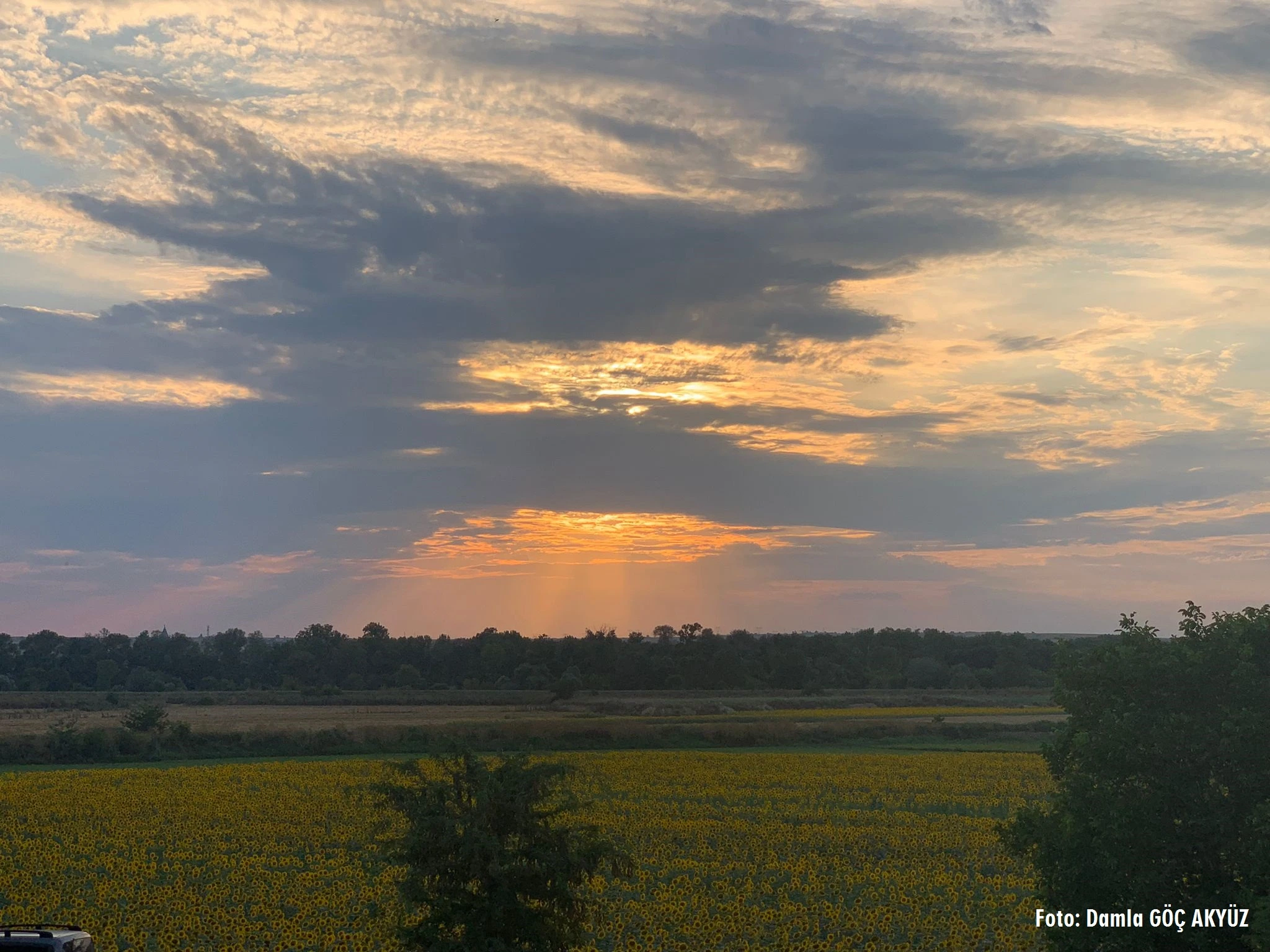 Masumiyet Müzesi dizisinde Edirne detayı !