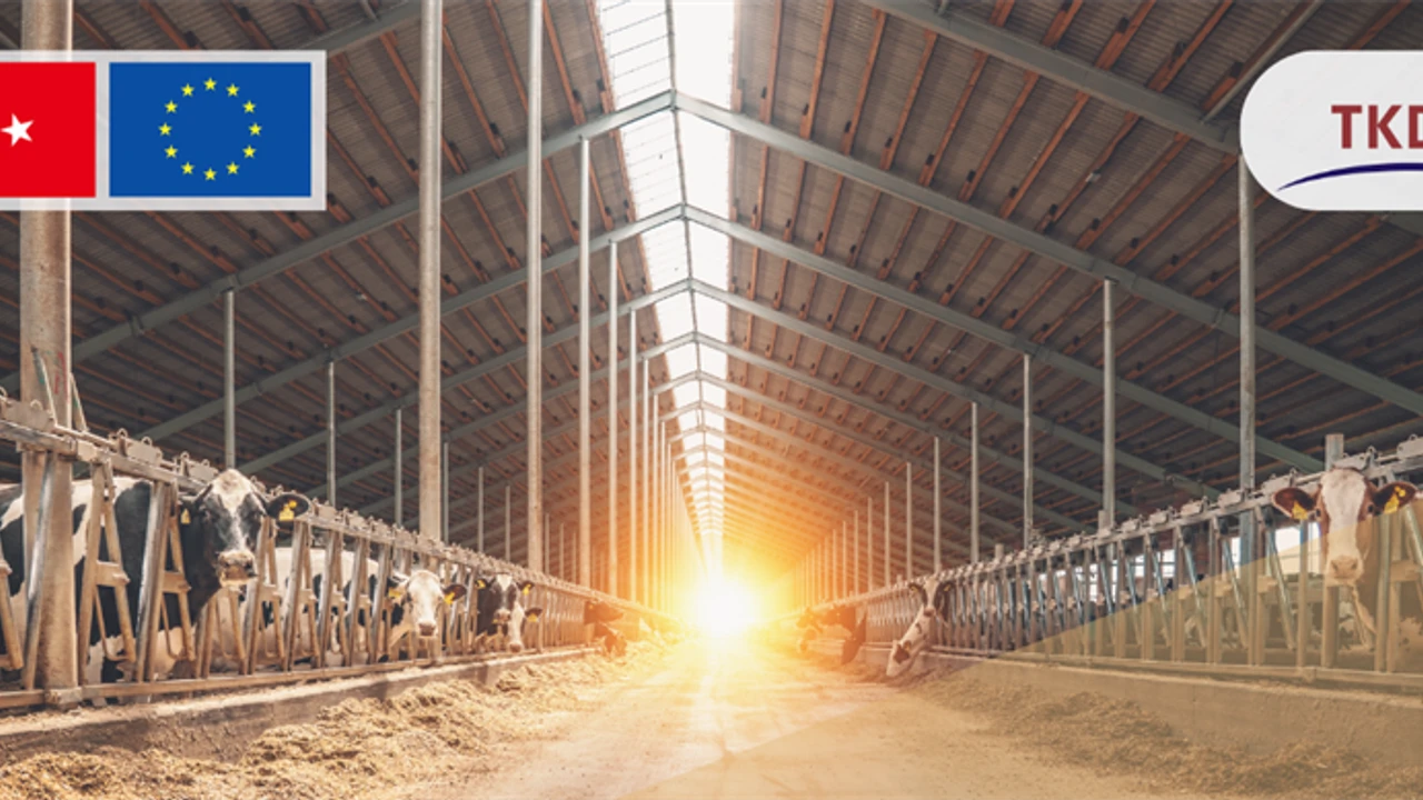 Tarımda, 1,7 milyar lira hibe verilecek