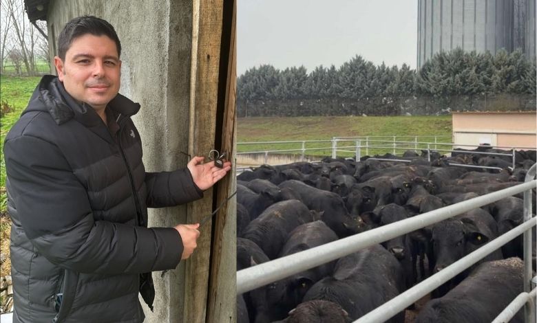 'Ahırlar kilitli, anguslar ithal'