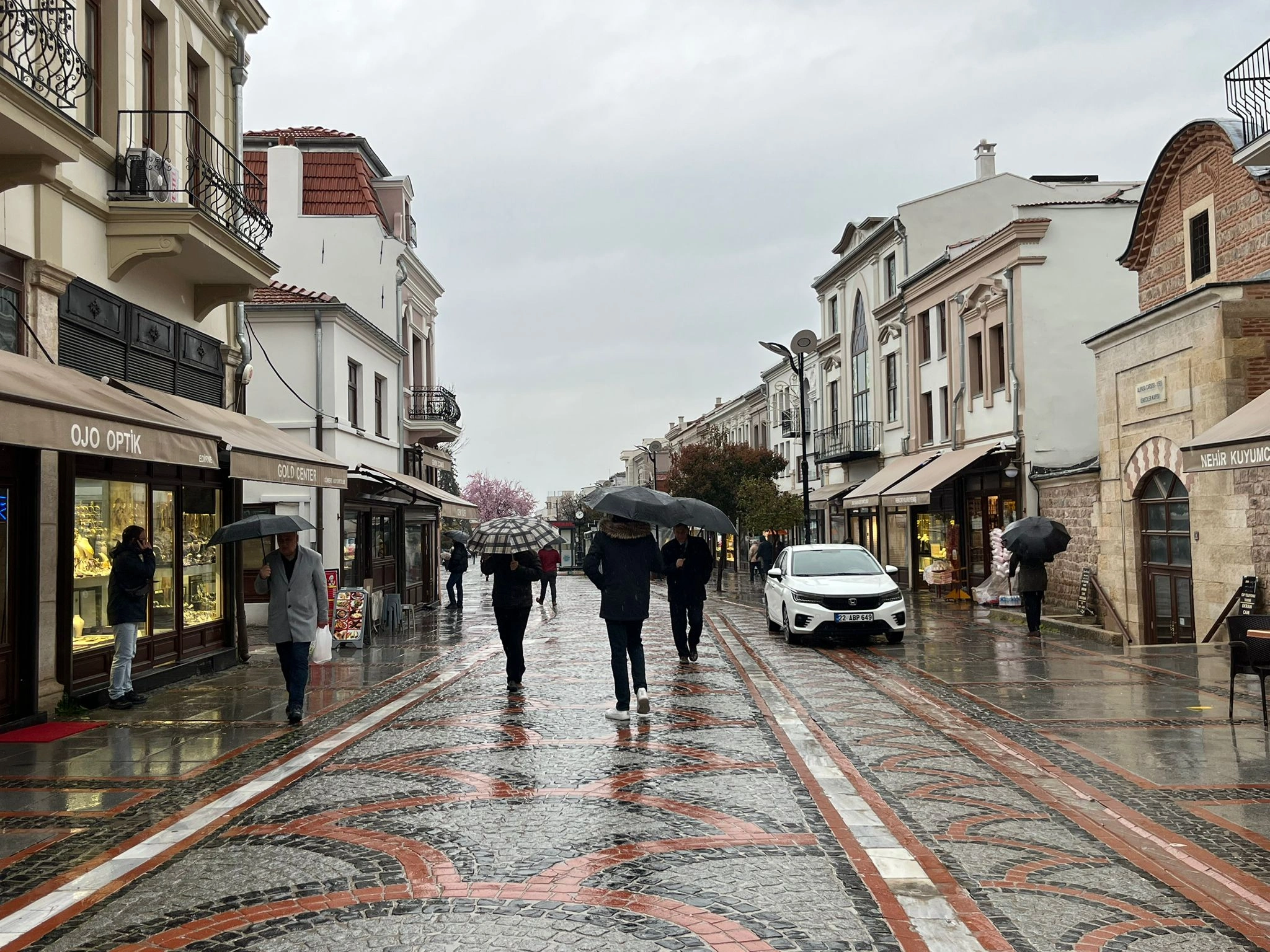 Edirne'de mevsimler karıştı, vatandaş baharı gözlüyor