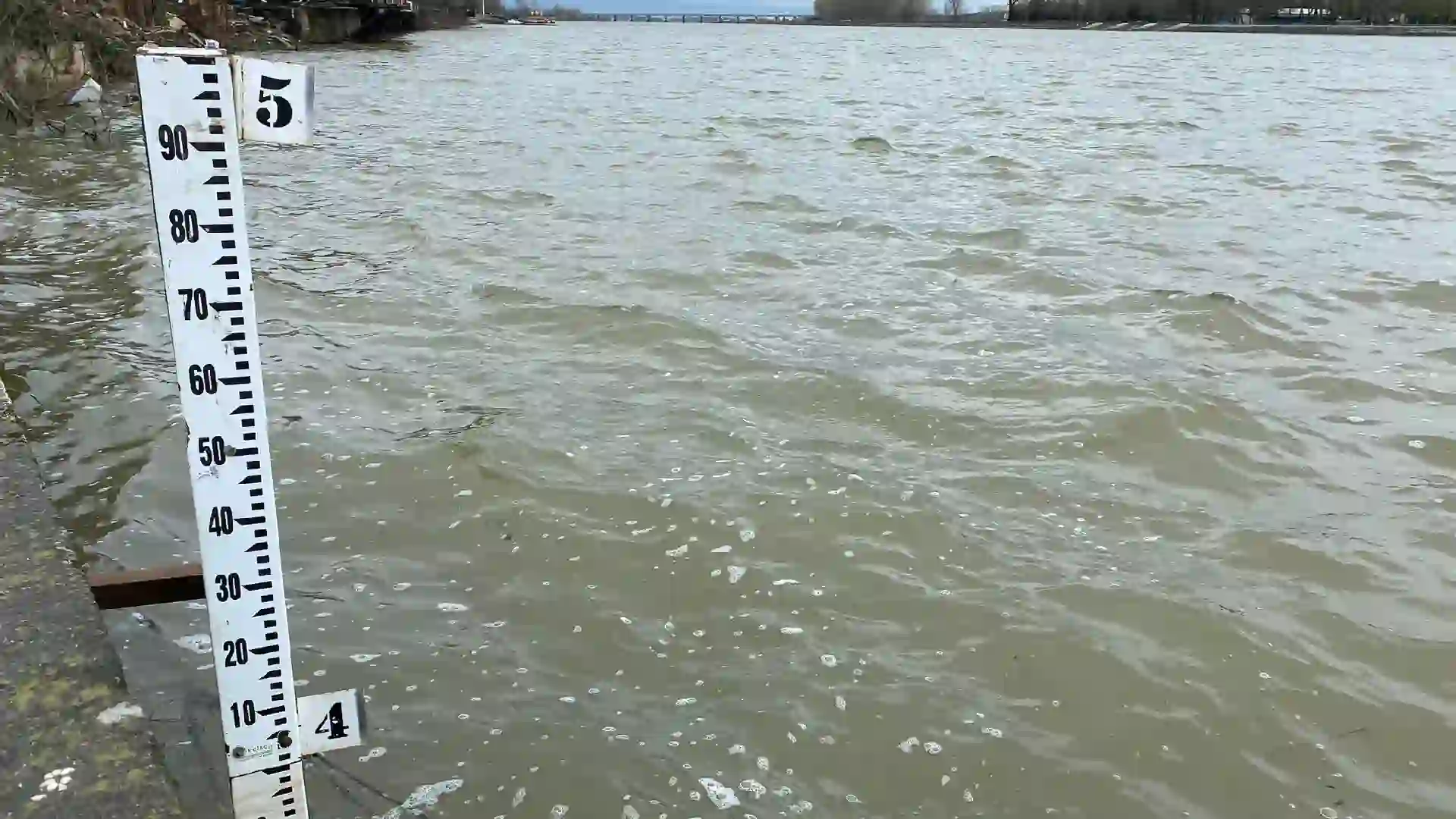 Edirne’de nehir debileri yükselişte