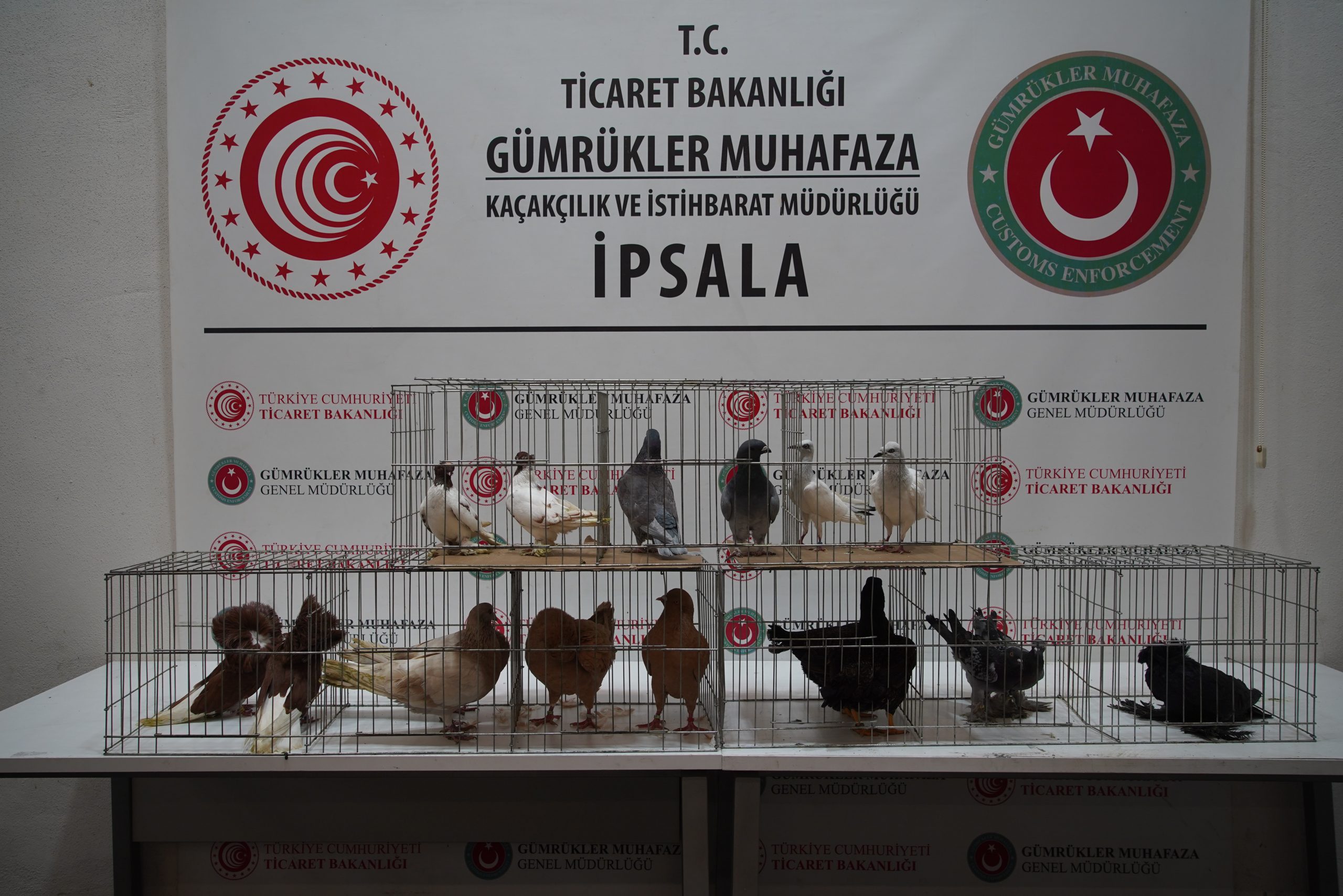 İpsala’da Şaşırtan Manzara