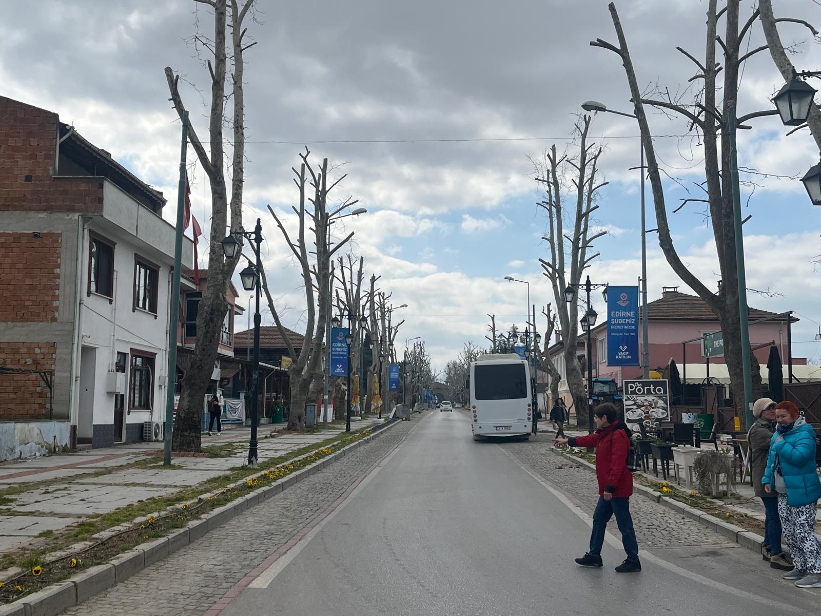 Ağaç budamasına tepki! “Ağaçlar Budanmıyor, Yok Ediliyor”