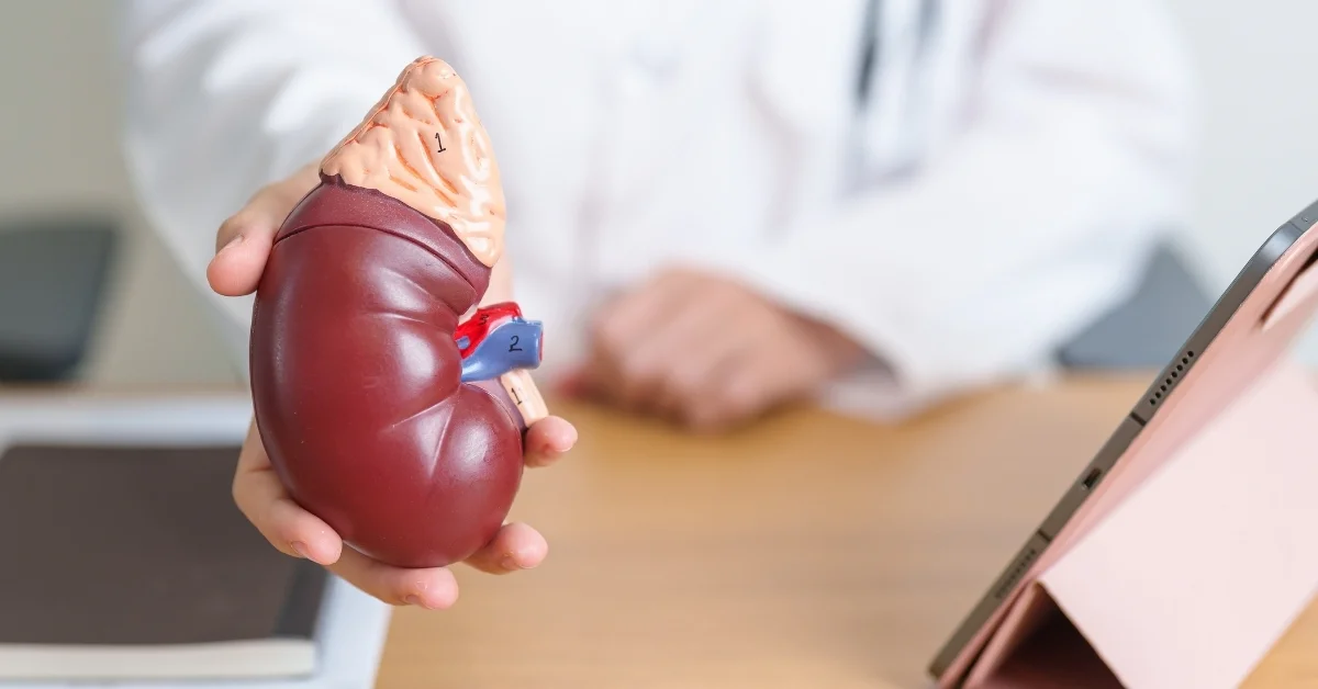 Dünya Böbrek Günü’nde Kritik Uyarı