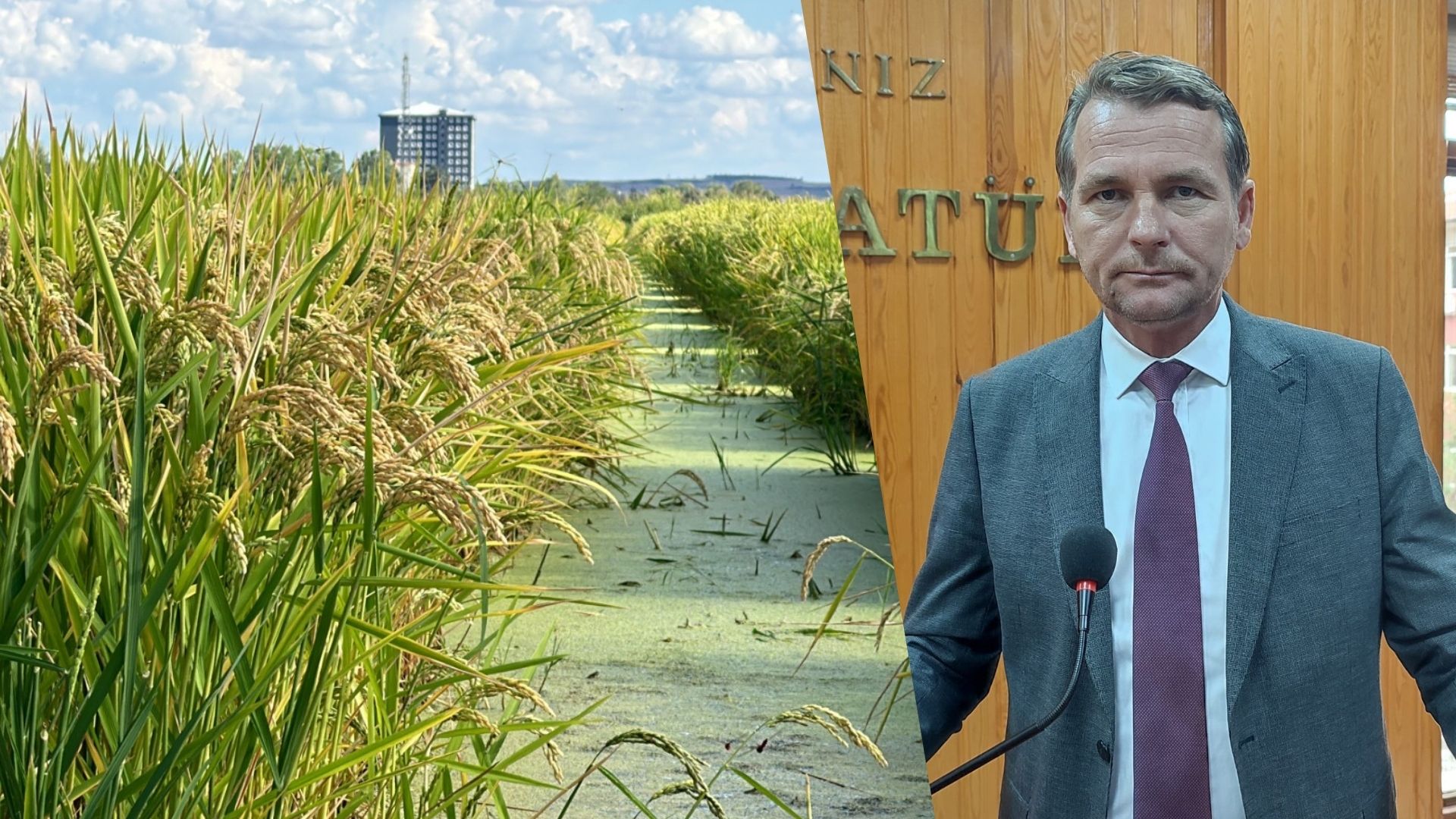 Üstün'den çeltik ruhsatiyesinde 'çifte fiyat' tepkisi