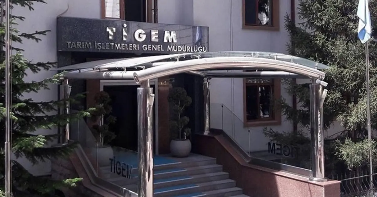 5 Ton kozalak ihaleye çıkarıyor