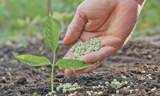 Gübrenin Ham Maddesi Üreye Gümrük Vergisi Sıfırlandı
