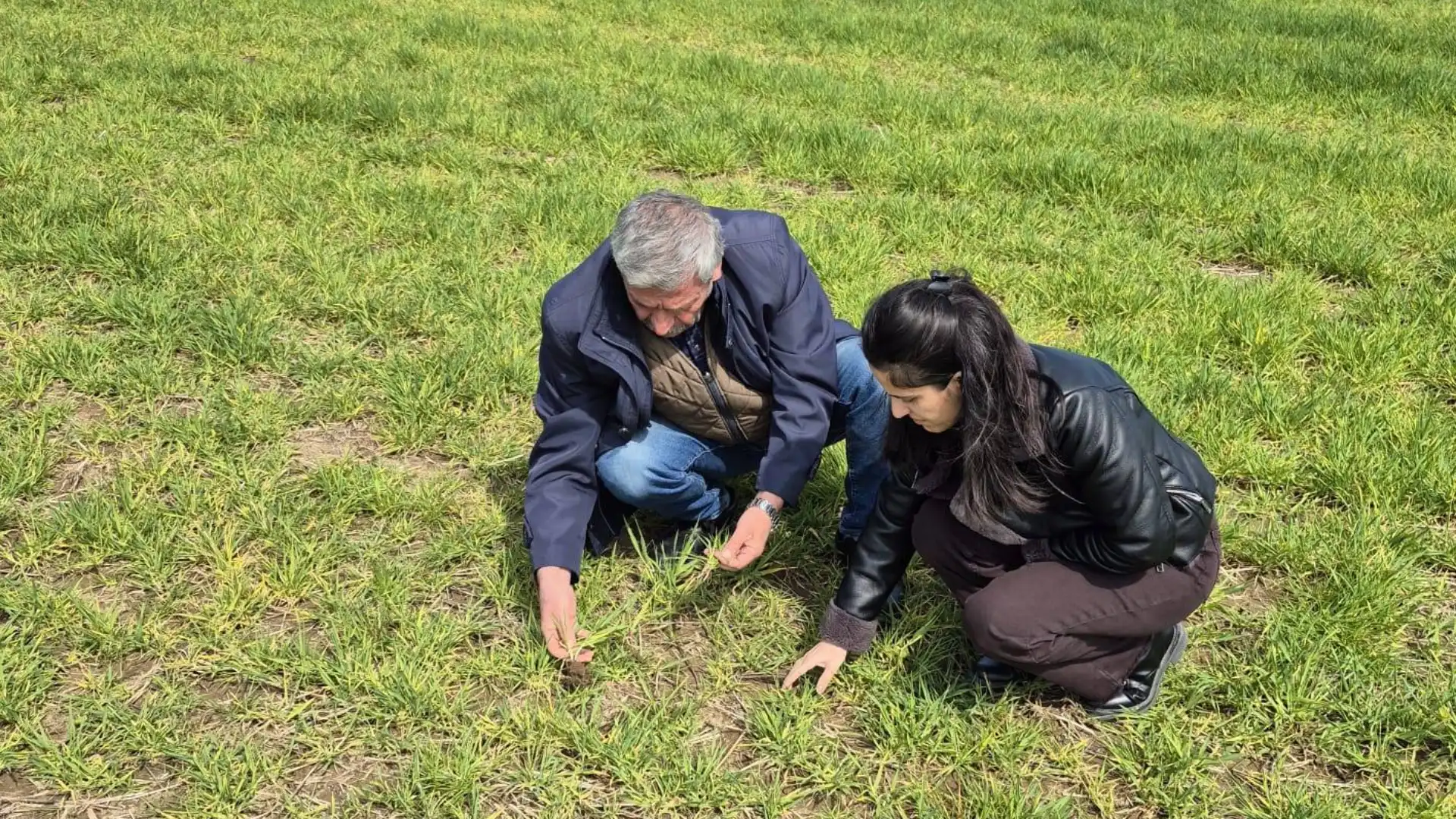 Ziraat Odası’ndan önemli uyarı: