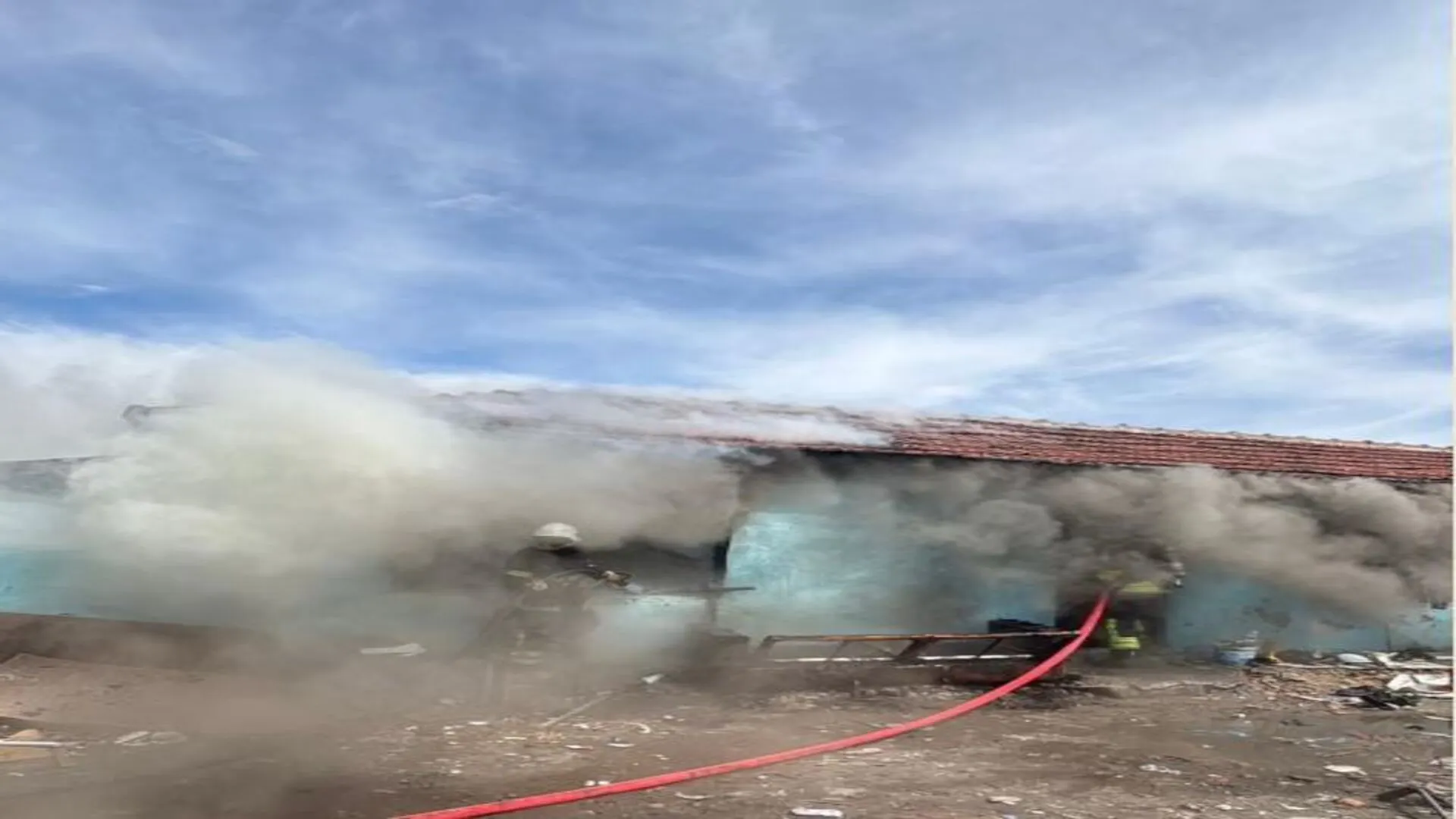 Yangında köpek ısırdı: Çocuk hastanede